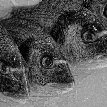 Ferienhaus Casa De *