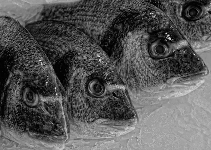 Casa de Férias Casa De *